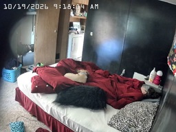 Peepholecam - Watch FREE Hidden Bedroom Cams &amp; Voyeur Cam , Voyeur House